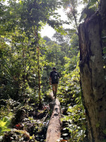 /album/fotogaleria-mentawai-ostrov-ludozrutov-zajazd-vy-a-my/mentaway-siberut-zajazd-jamajkanita-38-jpg/